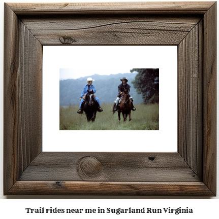 trail rides near me in Sugarland Run, Virginia